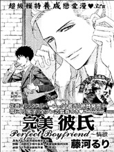 完美彼岸